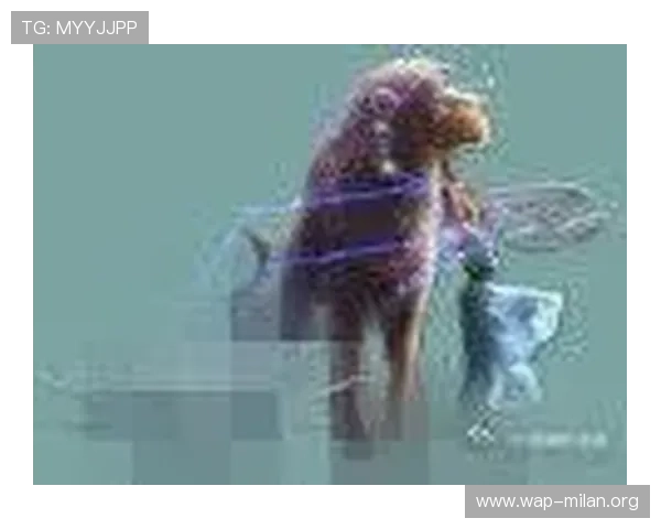 博鱼官网下载官方渠道，确保游戏安全无病毒的最佳途径