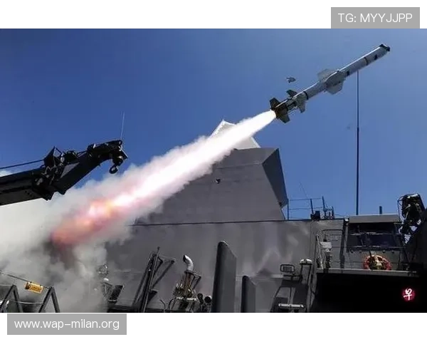 博鱼体育官网下载指南，详细步骤帮助用户轻松完成软件下载与安装