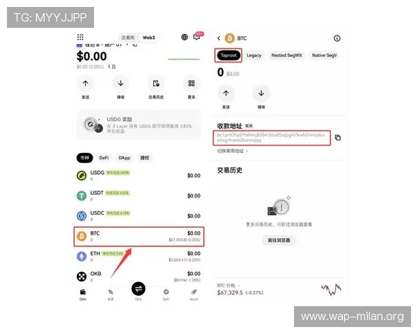 米兰登录下载快速指南，助你轻松下载安装和登录步骤详解